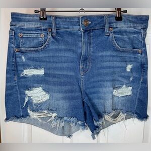 American Eagle Outfitters Distressed Stretch Blue Jean Shorts